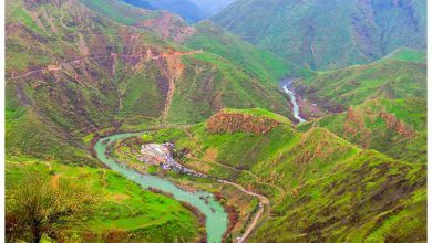 طبیعت و گردشگری