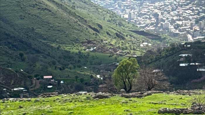 ییلاق ویمیر