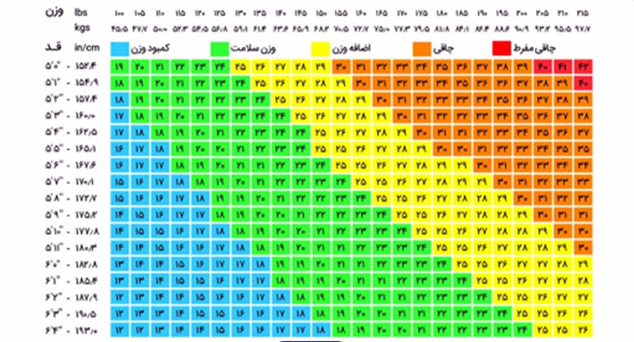 شاخص توده بدنی 