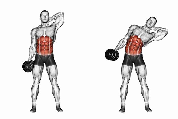 ۲. خم شدن به طرفین با دمبل (Side Bend)