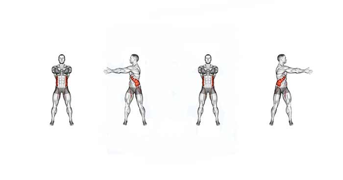 ۶. چرخش ایستاده با دمبل (Standing Dumbbell Twist)
