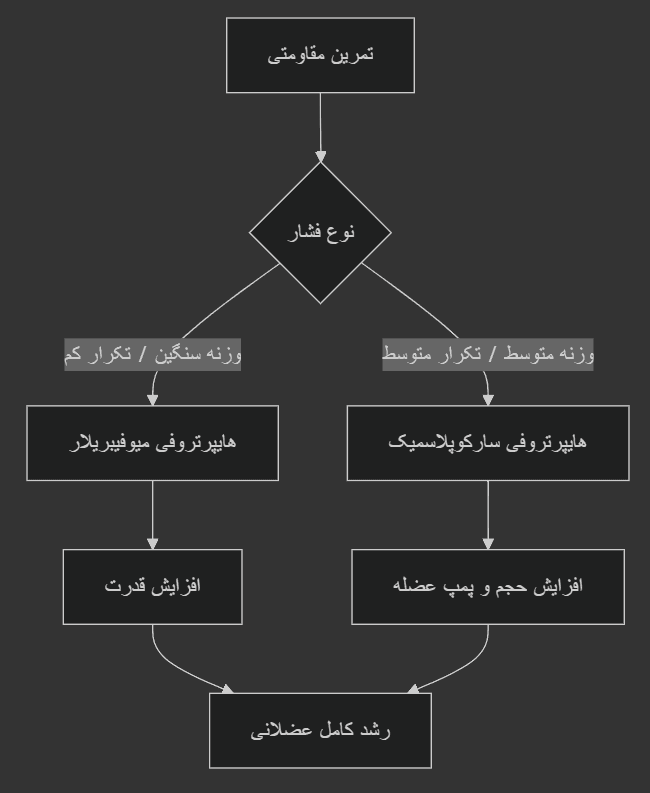 تمرین مقاومتی 